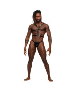 Sagittarius Pu Leather Chest & Winged Back Harness Black O/s