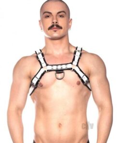 Prowler Red Bull Harness Blk/wht Xl