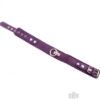 Rouge Plain Collar 1 Ring Purple