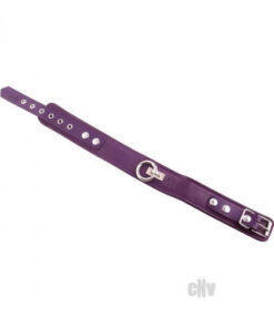 Rouge Plain Collar 1 Ring Purple