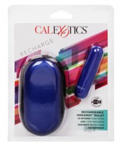 Rechargeable Hideaway Bullet Blue
