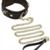 Spartacus Collar & Leash Brown Leather Gold Accent Hardware
