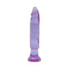Crystal Jellies Anal Starter Purple