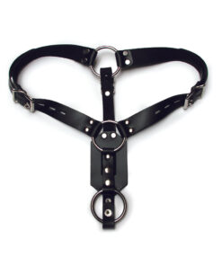 Kinklab Anal Plug Harness With Cock Ring