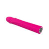Nalone Dixie Silicone Bullet 20 Function Usb Rechargeable Waterproof Pink