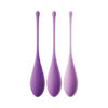 Fantasy For Her Kegel Train-Her Set