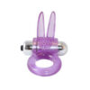 Ribbed Rabbit Vibrating Cockring