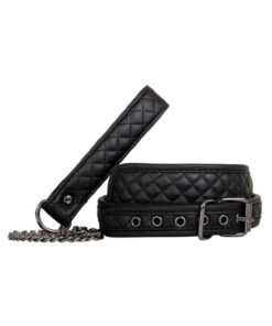 A&e Eve's Fetish Dreams Collar & Leash
