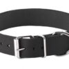 Collar 1" Single Strap Original Cut W/Ring