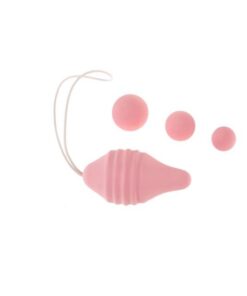 Pelvix Concept
